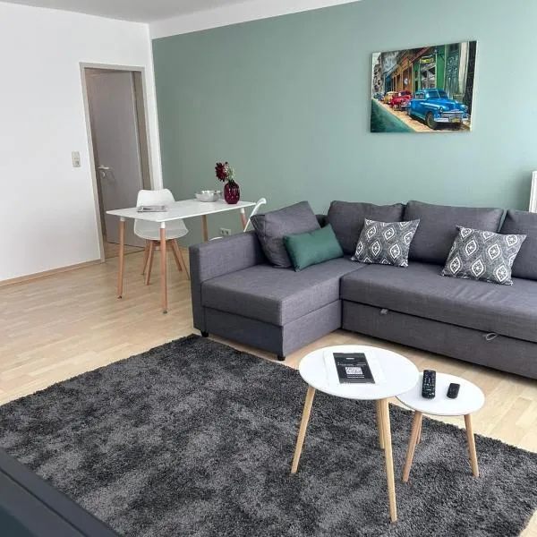 Stadt-Appartment Furth im Wald Drachenstich WLAN，位于林区富尔特的酒店