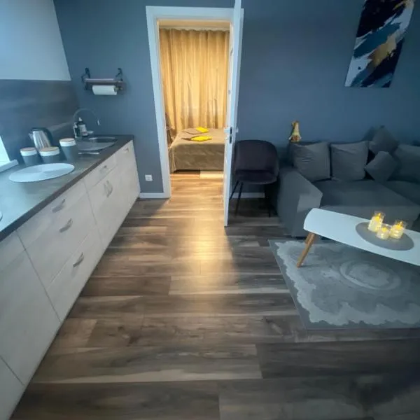 Trumpalaikė Nuoma-Apgyvendinimas，位于罗基什基斯的酒店