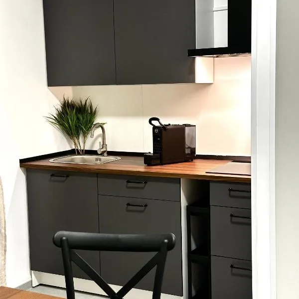 Urban Travelers Apartments，位于伊塞尔尼亚的酒店