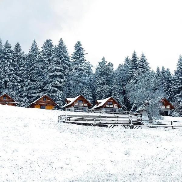 Domki w Kasinie，位于卡西纳维耶卡的酒店