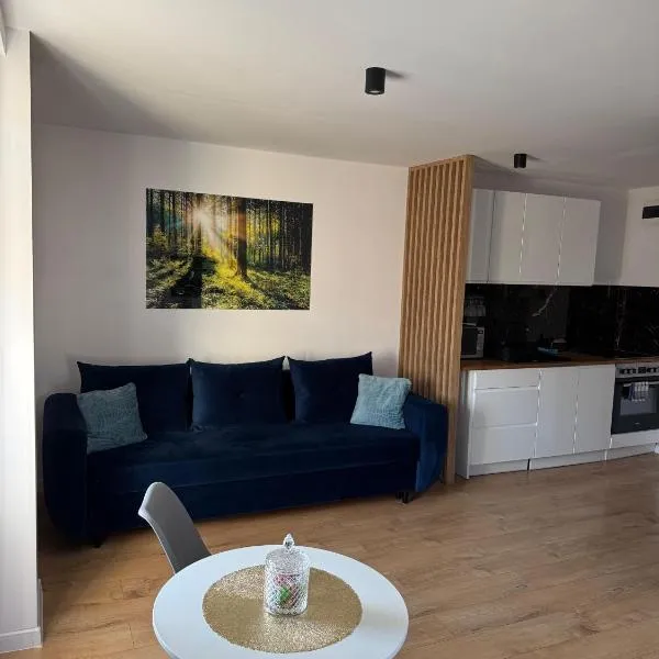 Studio szczawienko，位于瓦乌布日赫的酒店