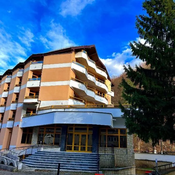 Montana Inn Slănic Moldova，位于斯兰默多瓦的酒店