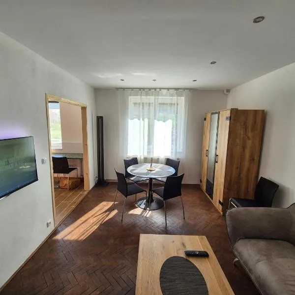 Apartmán 2-1 Orlické hory，位于Orlické Záhoří 的酒店