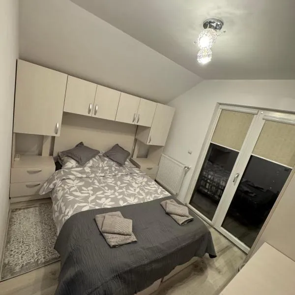 Apartament în Caransebeș，位于卡兰塞贝什的酒店