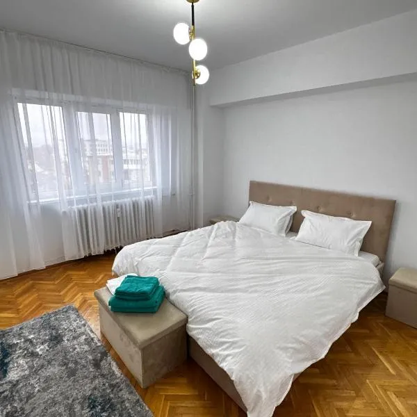 Spacious Central Apartment Craiova 3 Bedroom，位于克拉约瓦的酒店