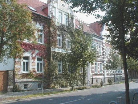 金狮酒店，位于梅泽堡的酒店
