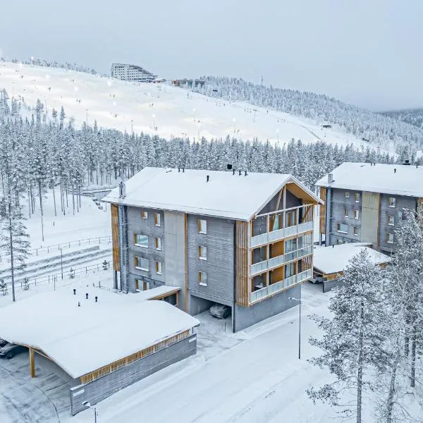 Lomavuokra Alpine Chalets Tunturinlaita B9，位于列维的酒店