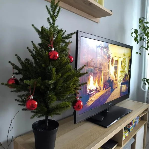 Ludza stay Apartment，位于卢扎的酒店