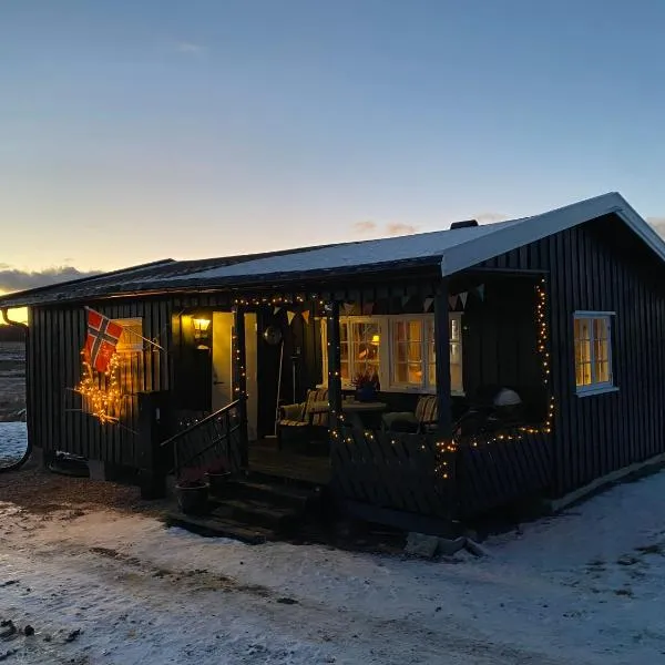 Golsfjellet，位于Gol的酒店