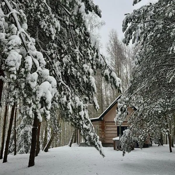 Leśne Klimaty，位于Smolniki的酒店
