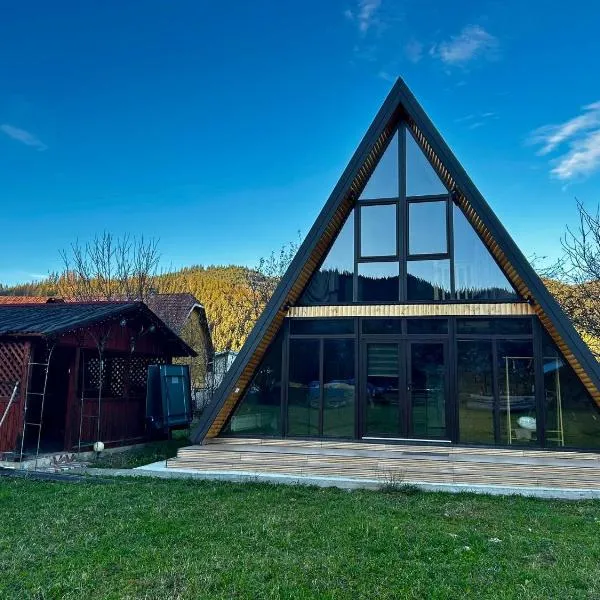 BucovinaAframe，位于坎普朗莫道尼斯的酒店