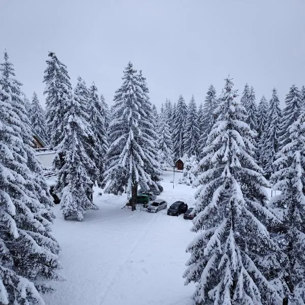 Zlatarska Studenica，位于Brdo的酒店