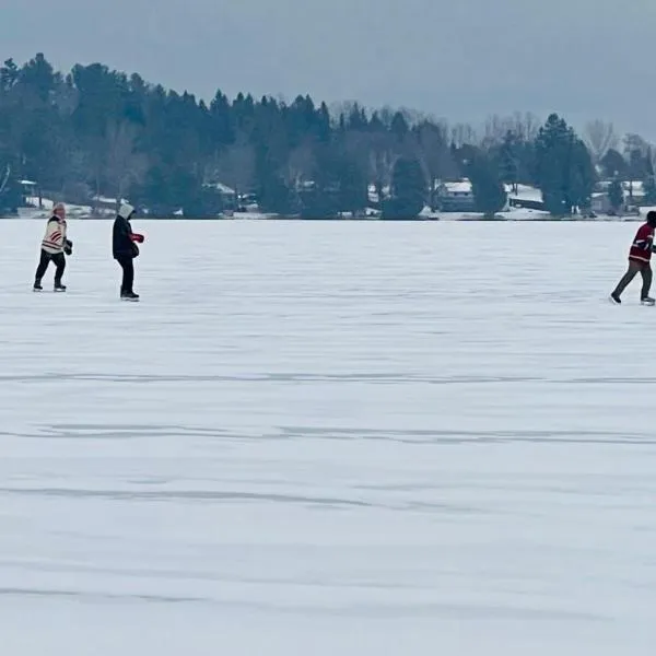 Charming Winter Cottage Retreat with Scenic Snow Views，位于Colborne的酒店