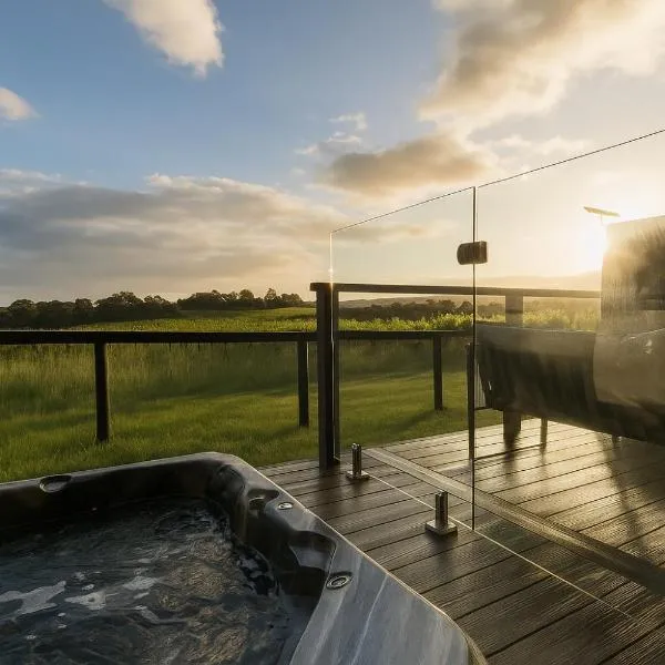 Vineyard Villa，位于麦克拉伦谷的酒店