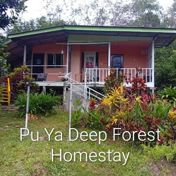 Pu Ya Deep Forest Homestay，位于Ban Khlong Chao的酒店