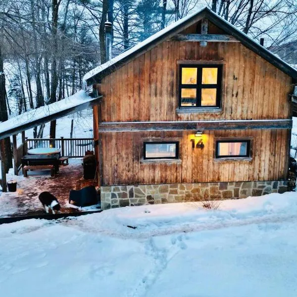 Le 14 Chalets Howard - Spa-Shower-Hammock-Bromont，位于布罗蒙的酒店