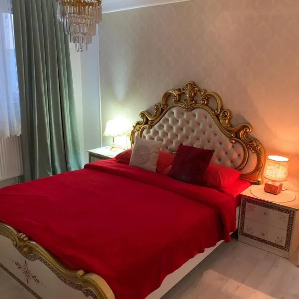 Slatina Cornisiei apartament central 2 camere și living，位于斯拉蒂纳的酒店