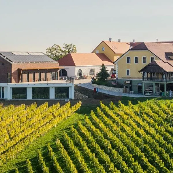 Wine & boutique hotel Terbotz，位于Štrigova的酒店