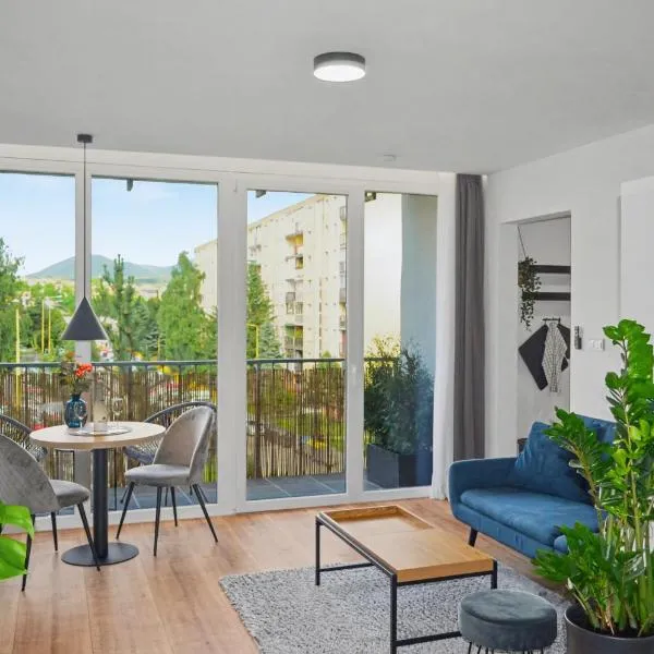 Apartment Hemsen，位于普雷绍夫的酒店