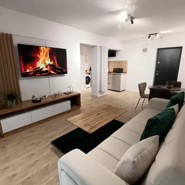 Decebal NOHOTEL，位于比斯特里察的酒店