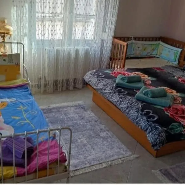 Eleni's GuestHouse，位于Ágios Vissaríon的酒店