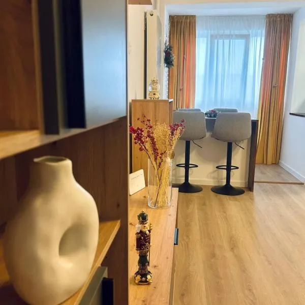 Nor's Studio Near City Center，位于克拉约瓦的酒店