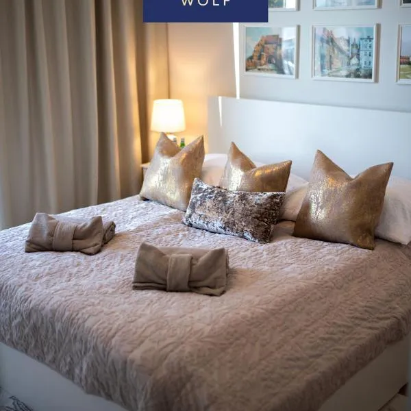 Apartament Kaszmirowy，位于格鲁德柴兹的酒店