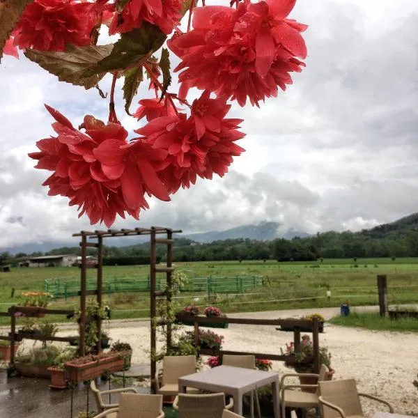 Agriturismo San Floreano，位于布亚的酒店