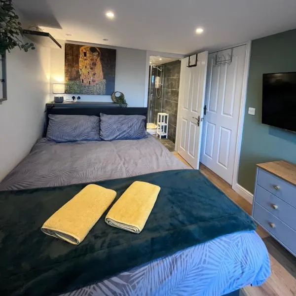 Bryn Haul Sunny Hill，位于特雷杜尔的酒店