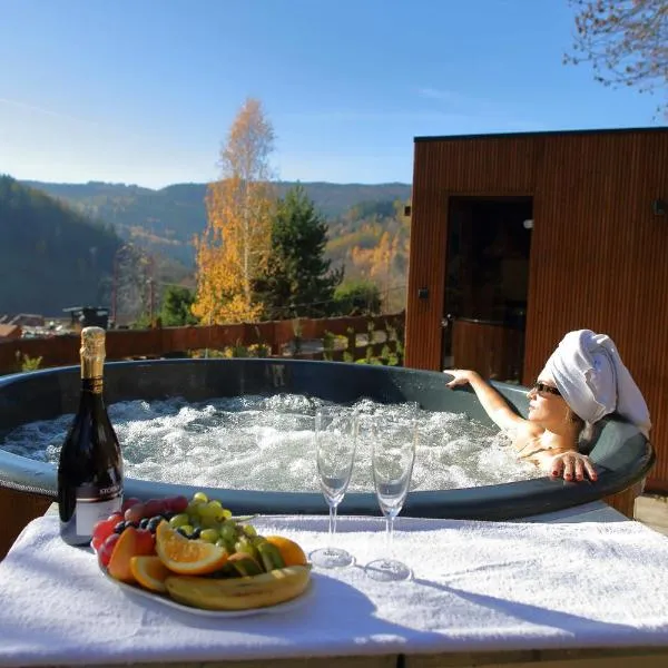 奥斯罗德克韦皮斯恩科维博德贝姆度假村，位于Wójtowice的酒店