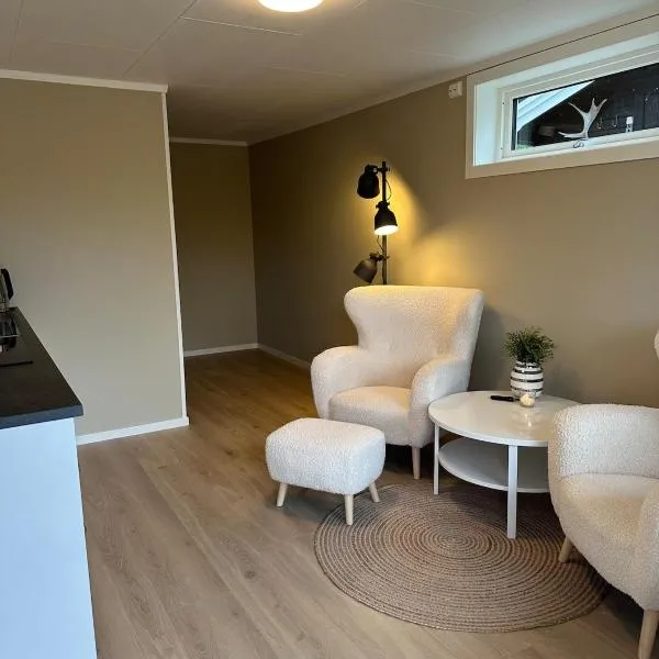 Modern studio apartment with wood-fired sauna，位于Bjørkheim的酒店