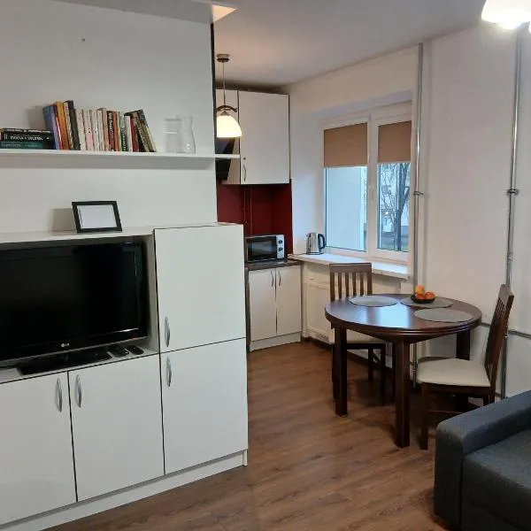 Alytus Studio 45，位于阿利图斯的酒店