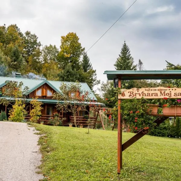 Brvnara Moj san - Log cabin My Dream，位于Zelin Mrzlovodički的酒店