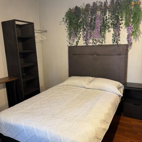 El Hostalito Metepec，位于托卢卡的酒店