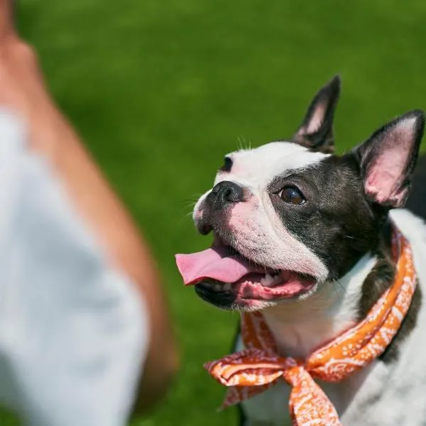 Solana富士御殿場，位于御殿场市的酒店