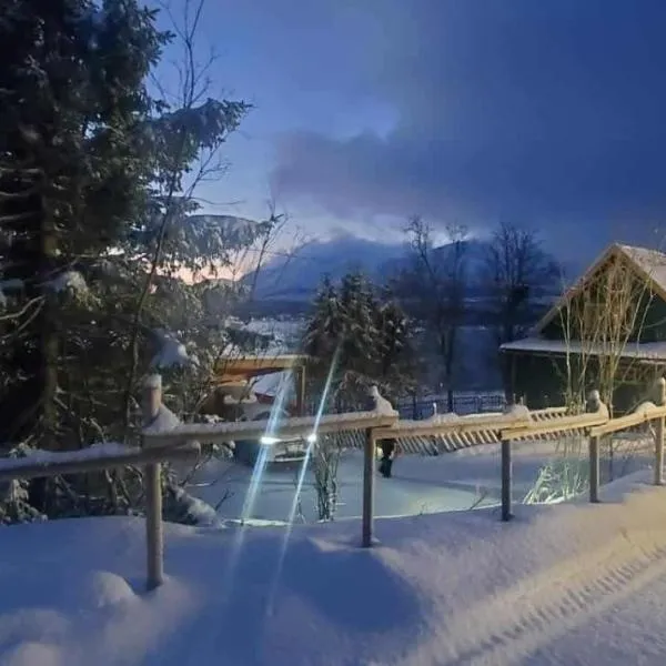 CC`s Green house，位于特罗姆瑟的酒店