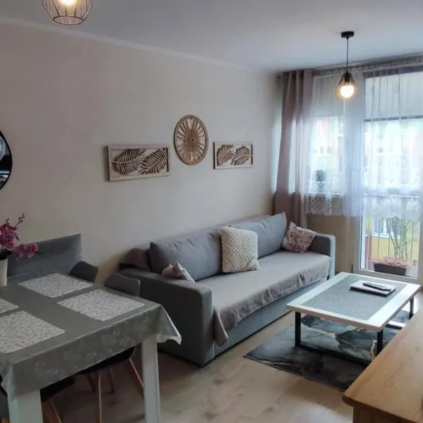 Apartament Centrum，位于耶莱尼亚古拉的酒店