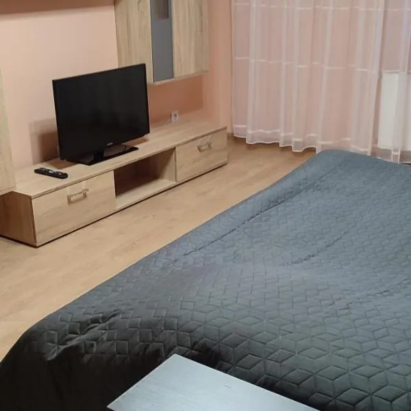 Апартаменти ЖК Тріумф,ЖД ВОКЗАЛ, ОБЛАСНА ЛІКАРНЯ,，位于卢茨克的酒店