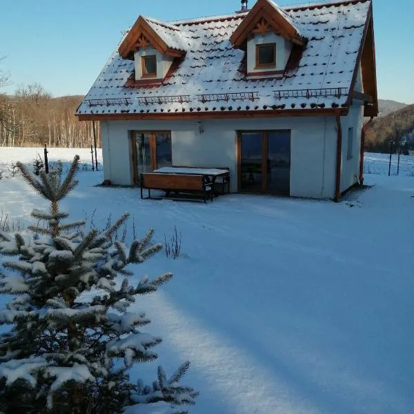 Domek w Górach Sowich，位于Pieszyce的酒店
