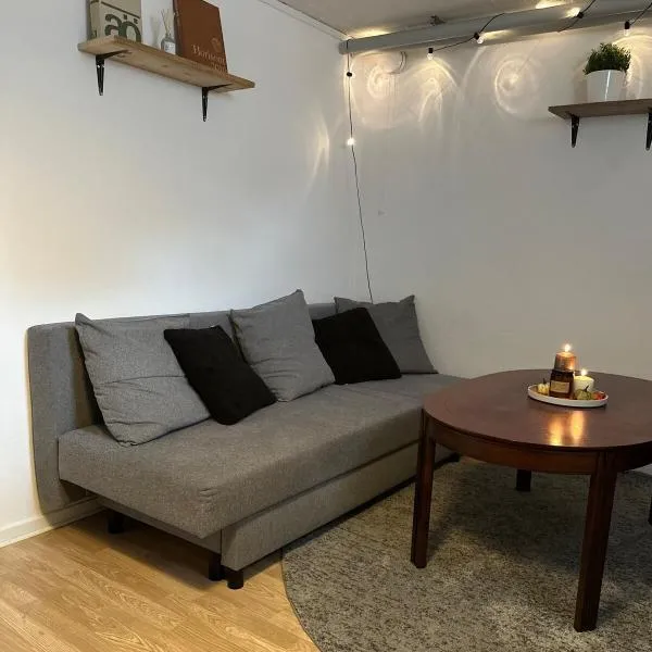 Charming apartment with industrial design close to city center，位于韦克舍的酒店