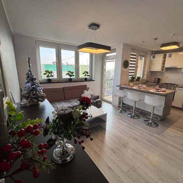 Ekskluzywny Apartament Joanna w centrum Bochni，位于博赫尼亚的酒店