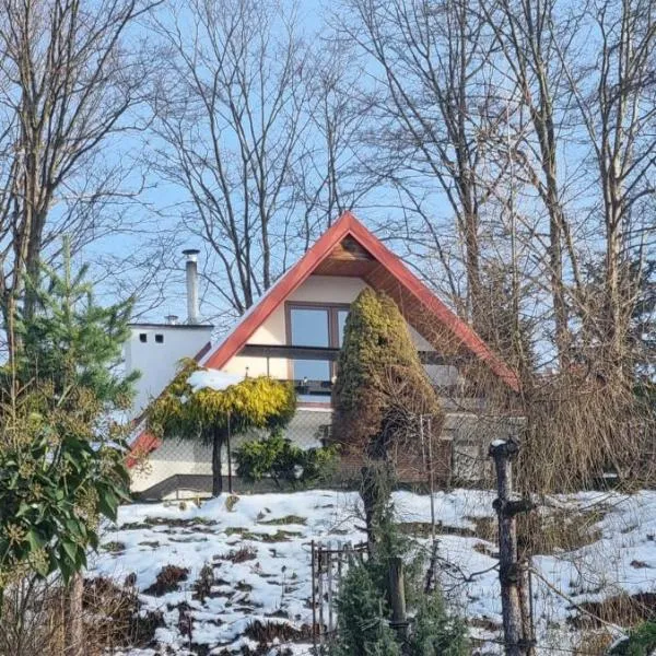 dziupla，位于Górki Wielkie的酒店