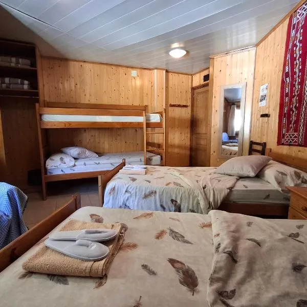 Mitja Pensió Hostal Pastuira Vallter 11，位于塞特卡萨斯的酒店