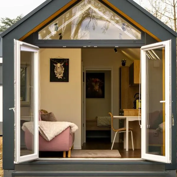 Tiny House im Schwarzwald-Natur, Ruhe & Erholung，位于埃夫林根基兴的酒店