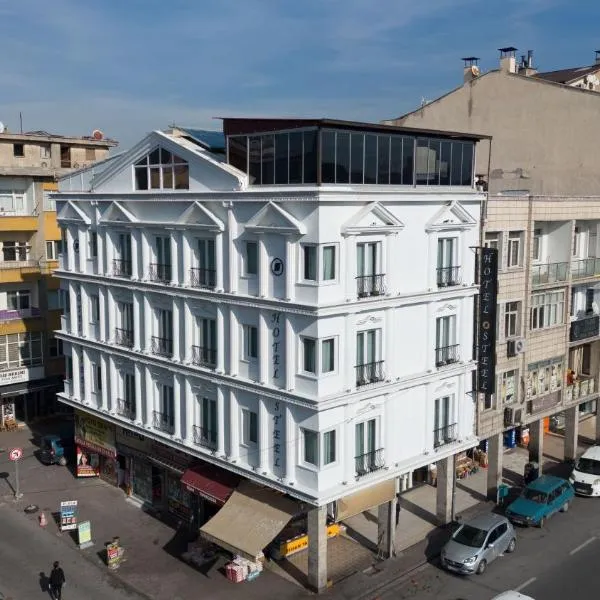 SteelOtel，位于开塞利的酒店