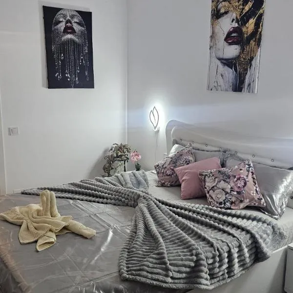 Divine Luxury Rasnov，位于莱斯诺夫的酒店