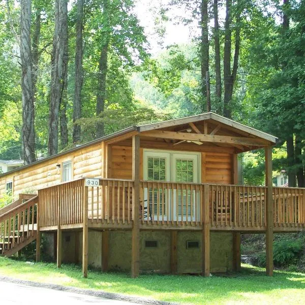 Fontana Village Resort & Marina，位于Fontana Village的酒店