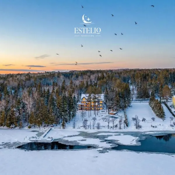 Estello Suites & Spa，位于梅干提克湖的酒店