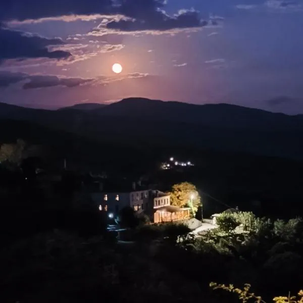 塞里尼酒店，位于维特萨的酒店