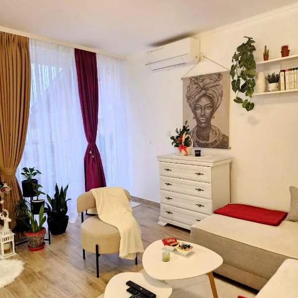 Apartman Gaga，位于Batajnica的酒店